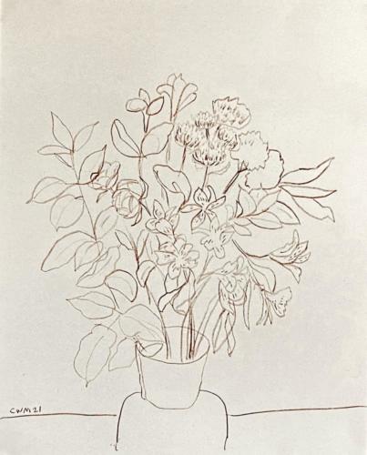 Drawing Brown Pencil